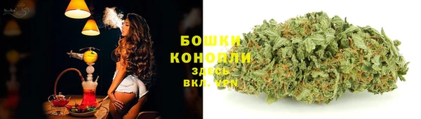 прущая мука Няндома