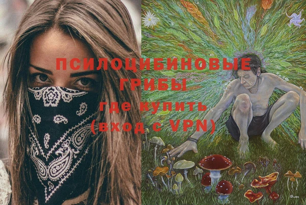 винт Осташков