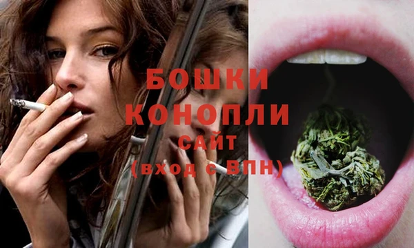 прущая мука Няндома