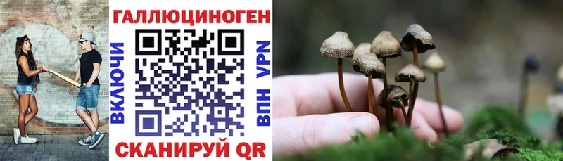 гидра онион  Кимры  Псилоцибиновые грибы прущие грибы 