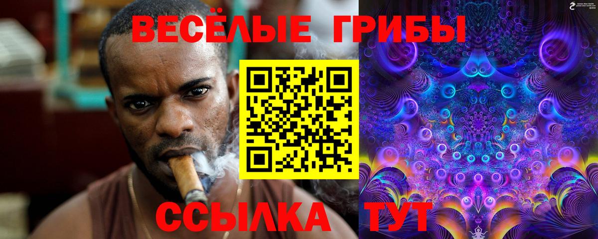 Галлюциногенные грибы GOLDEN TEACHER  Кимры 
