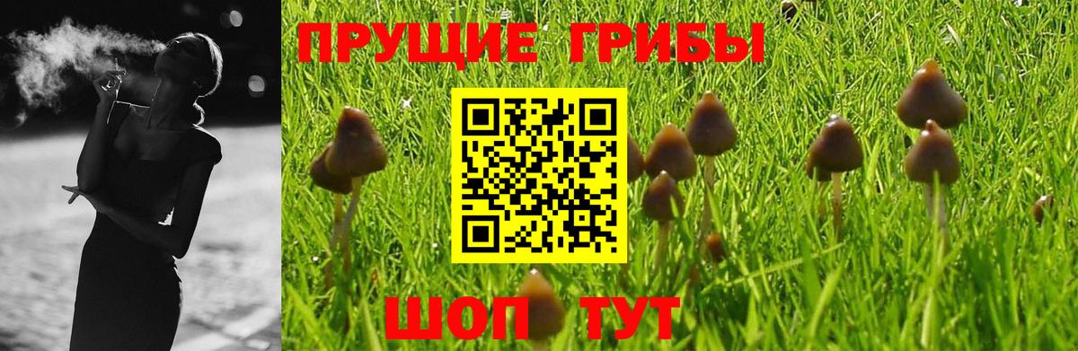 Псилоцибиновые грибы Psilocybe  Псилоцибиновые грибы Magic Shrooms  где продают наркотики  Вход с VPN  Кимры 