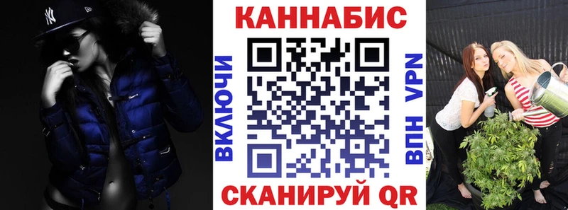 Канабис гибрид  Кимры 